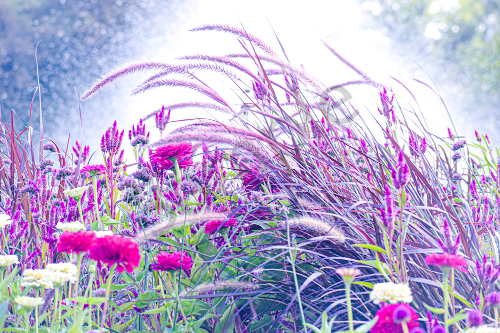 September 2025 1238 Photography Art | Photos By Regan