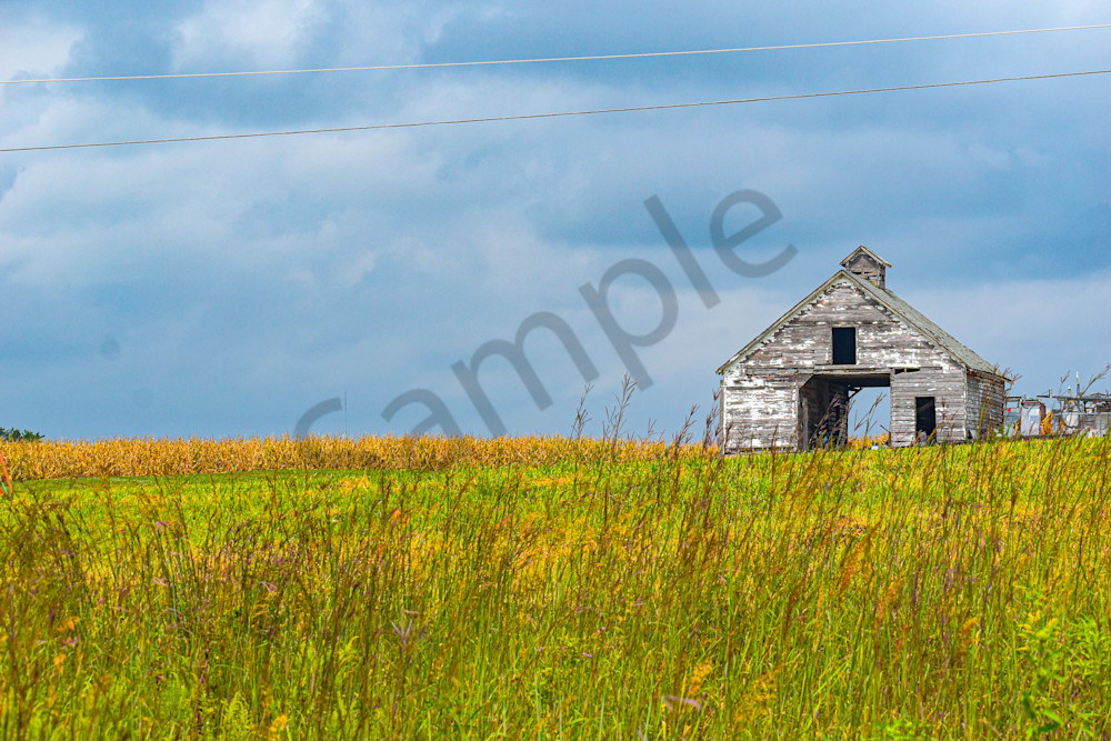 September 2025 1375 Photography Art | Photos By Regan