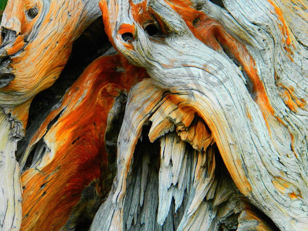 Img 0012 Art | MANN uP Art