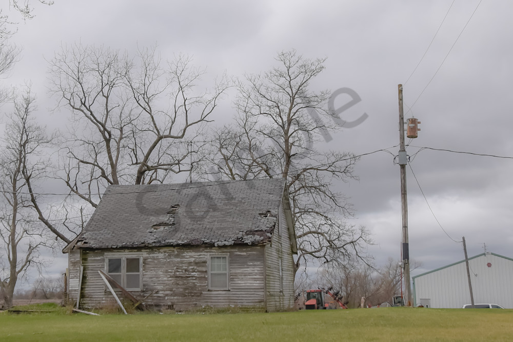 Osceola Farms 198 Photography Art | Photos By Regan