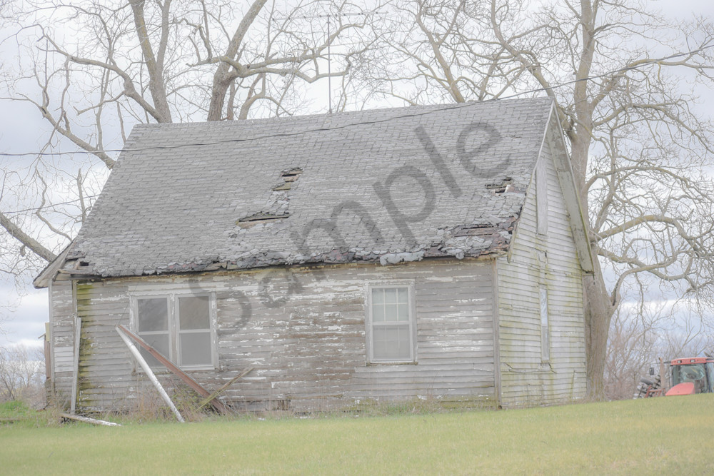 Osceola Farms 201 Photography Art | Photos By Regan