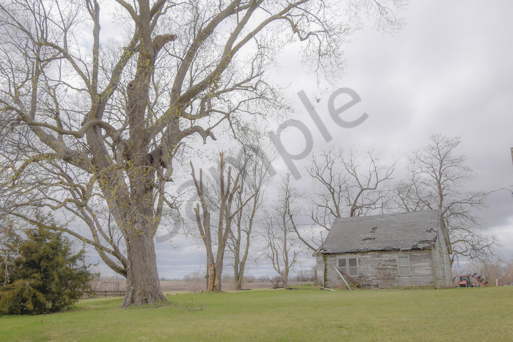 Osceola Farms 197 Photography Art | Photos By Regan