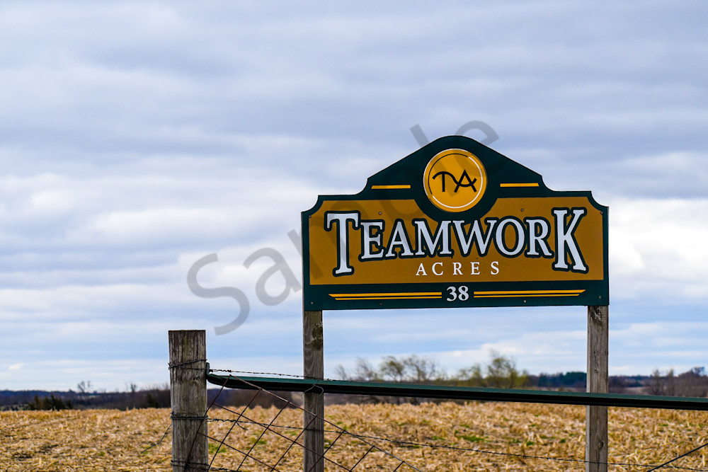 Osceola Farms 50 Photography Art | Photos By Regan