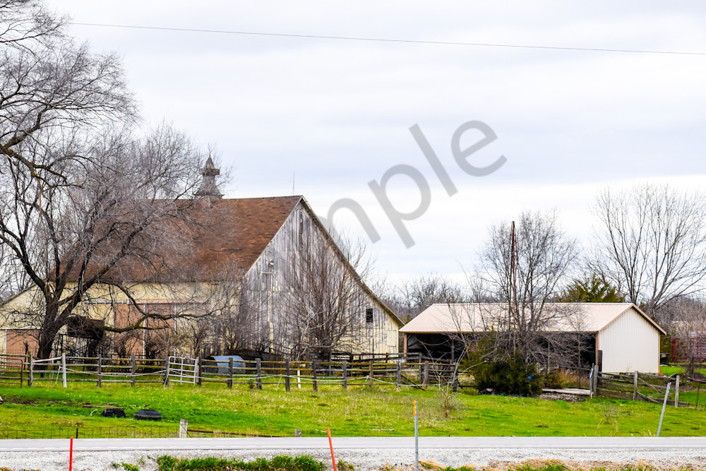 Osceola Farms 51 Photography Art | Photos By Regan