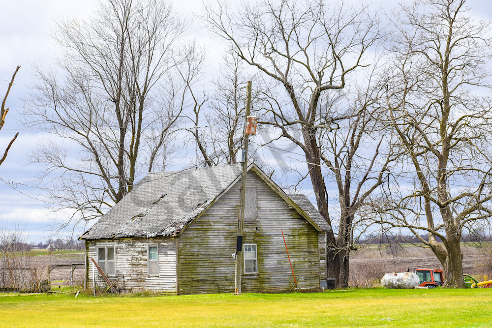 Osceola Farms 188 Photography Art | Photos By Regan