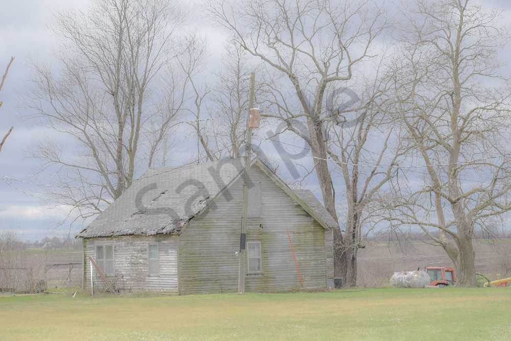 Osceola Farms 189 Photography Art | Photos By Regan