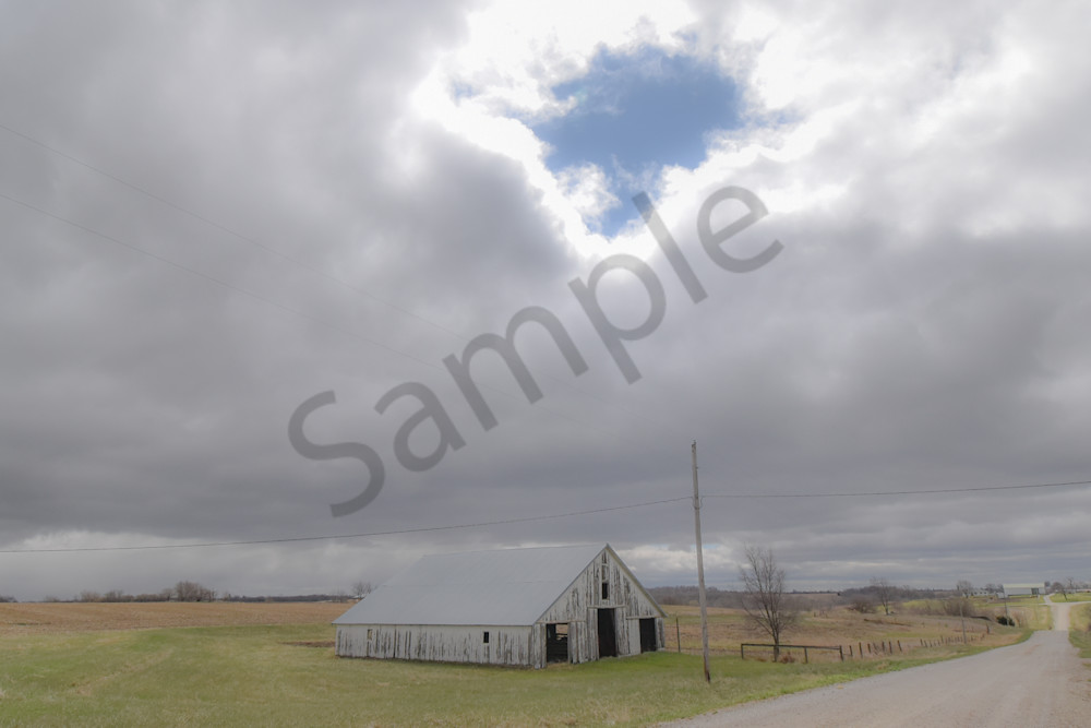 Osceola Farms 190 Photography Art | Photos By Regan