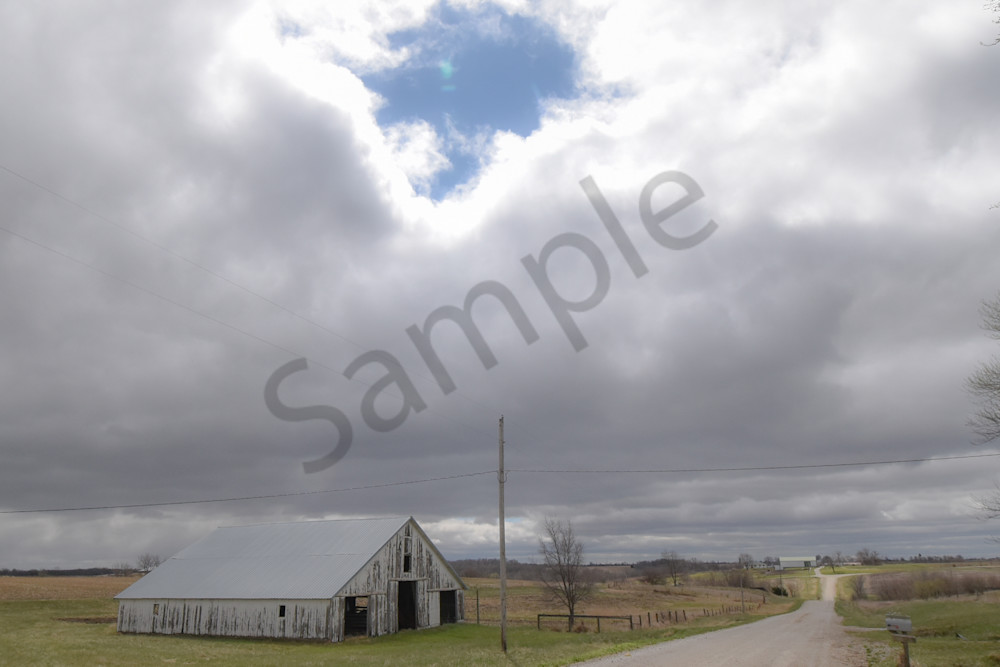 Osceola Farms 192 Photography Art | Photos By Regan