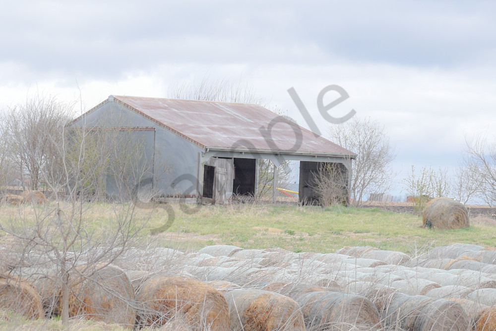 Osceola Farms 184 Photography Art | Photos By Regan