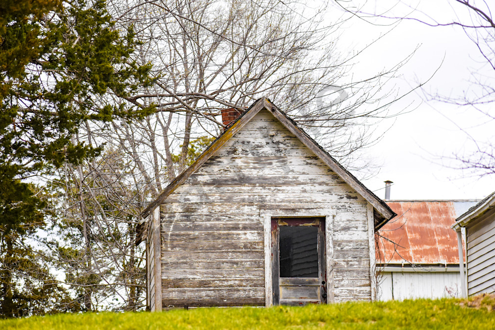 Osceola Farms 80 Photography Art | Photos By Regan