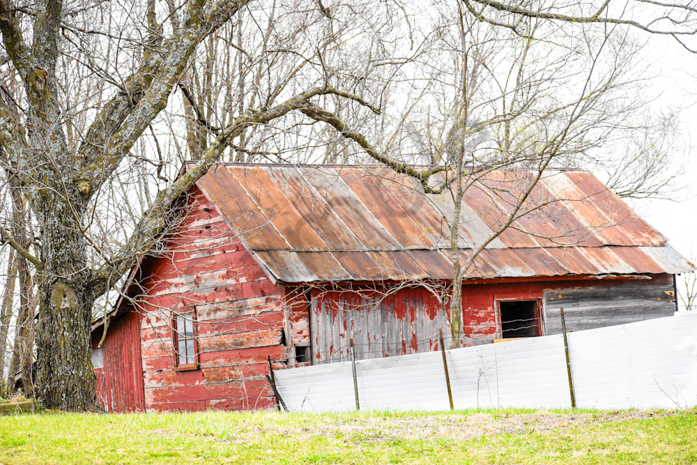Osceola Farms 82 Photography Art | Photos By Regan