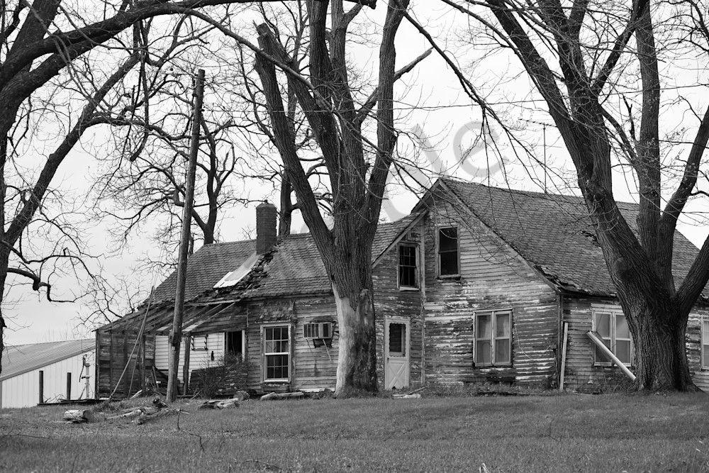 Osceola Farms 203 Photography Art | Photos By Regan