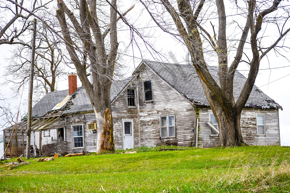 Osceola Farms 204 Photography Art | Photos By Regan