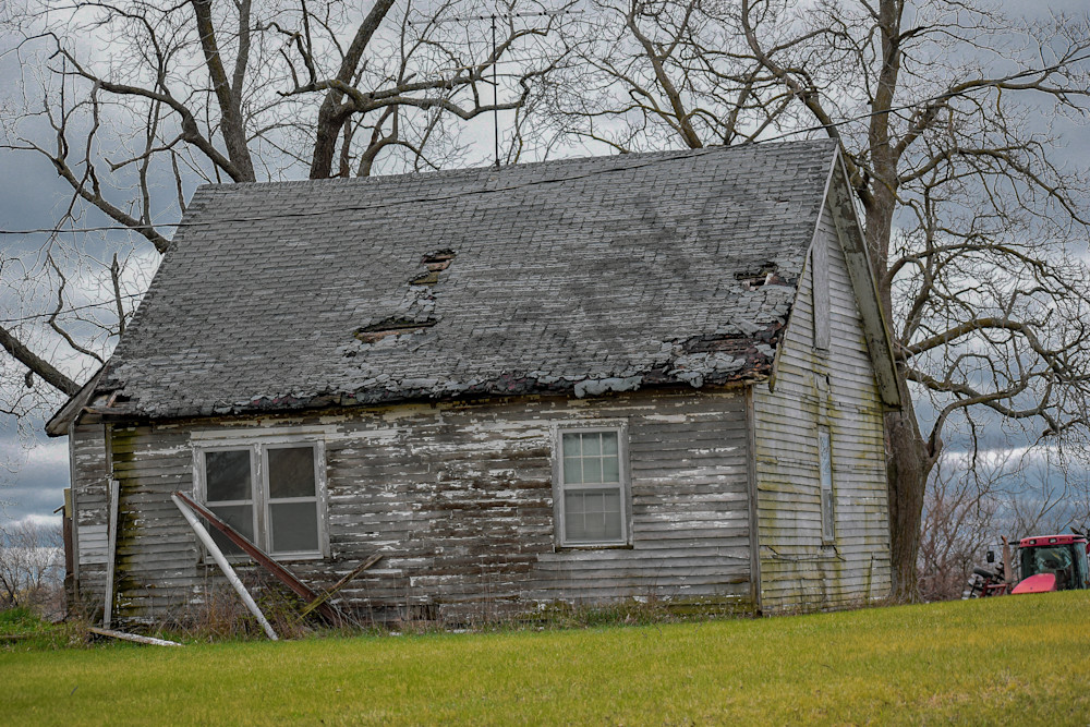 Osceola Farms 202 Photography Art | Photos By Regan