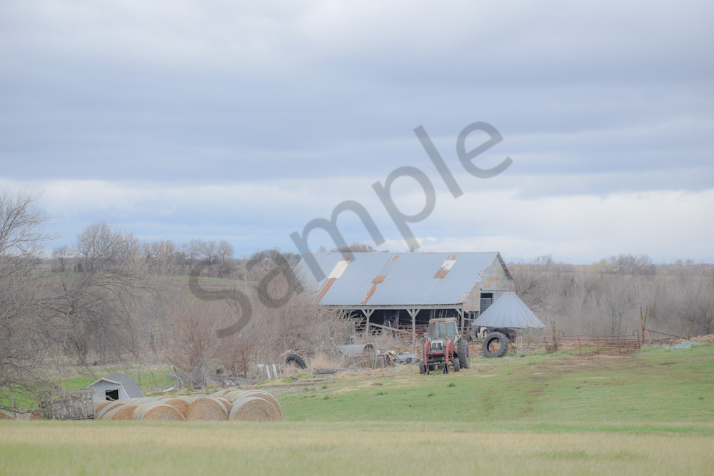 Osceola Farms 156 Photography Art | Photos By Regan