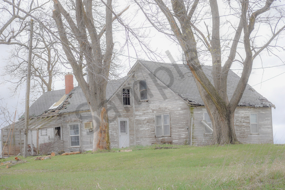 Osceola Farms 205 Photography Art | Photos By Regan