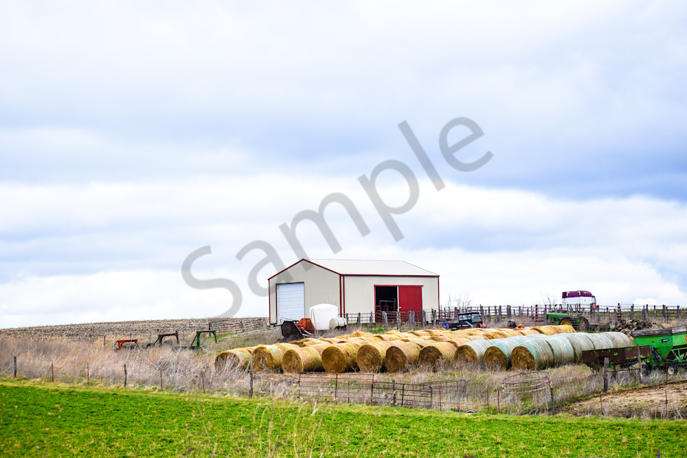 Osceola Farms 158 Photography Art | Photos By Regan