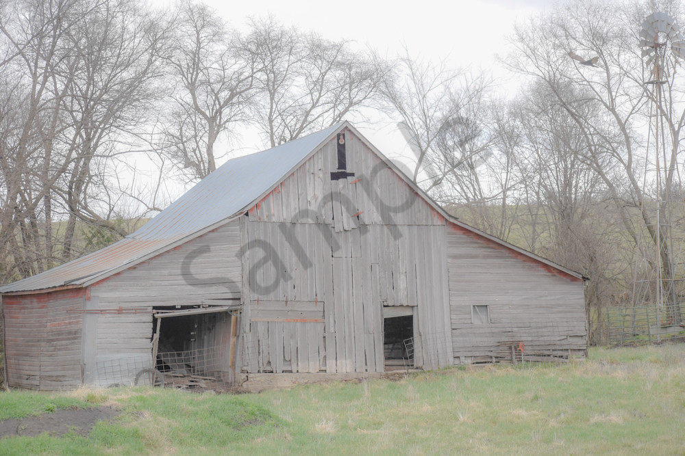 Osceola Farms 146 Photography Art | Photos By Regan