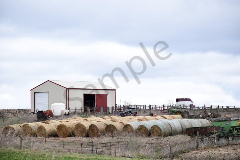 Osceola Farms 159 Photography Art | Photos By Regan