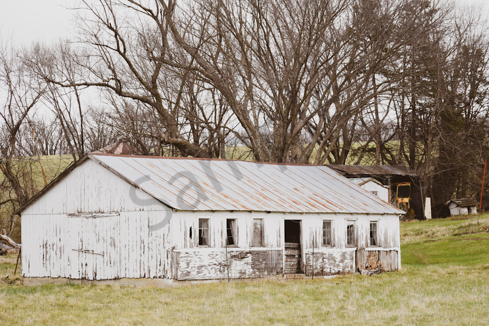 Osceola Farms 148 Photography Art | Photos By Regan