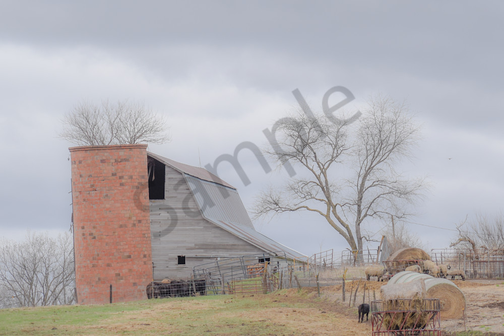 Osceola Farms 124 Photography Art | Photos By Regan