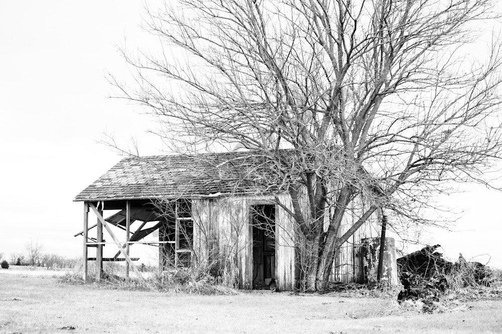 Osceola Farms 222 Photography Art | Photos By Regan