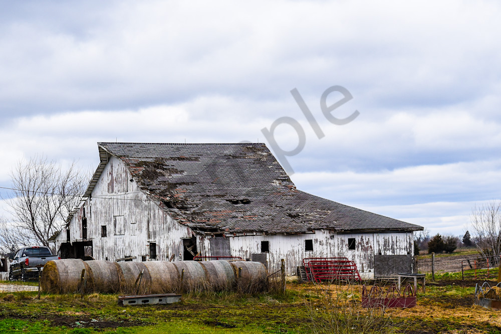 Osceola Farms 63 Photography Art | Photos By Regan