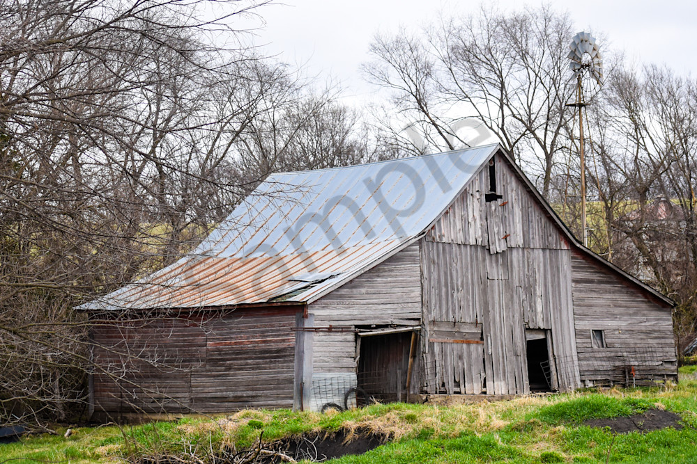 Osceola Farms 150 Photography Art | Photos By Regan