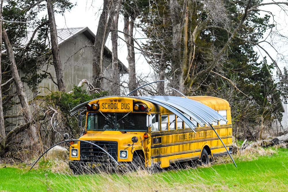 Osceola Farms 35 Photography Art | Photos By Regan