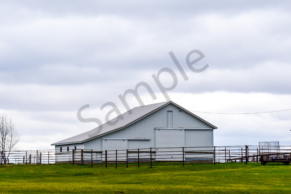 Osceola Farms 69 Photography Art | Photos By Regan