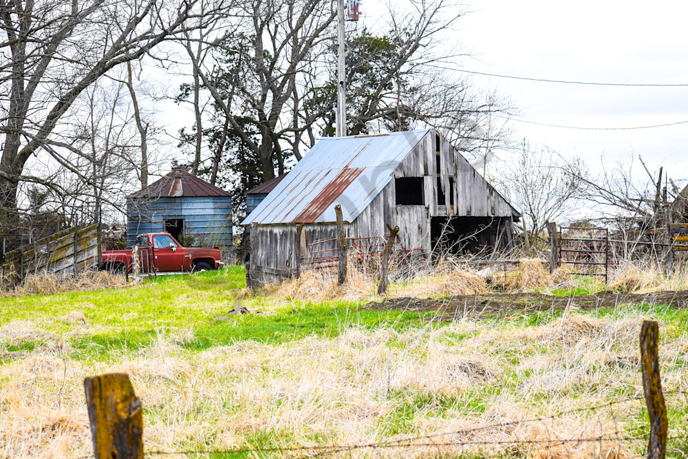 Osceola Farms 54 Photography Art | Photos By Regan