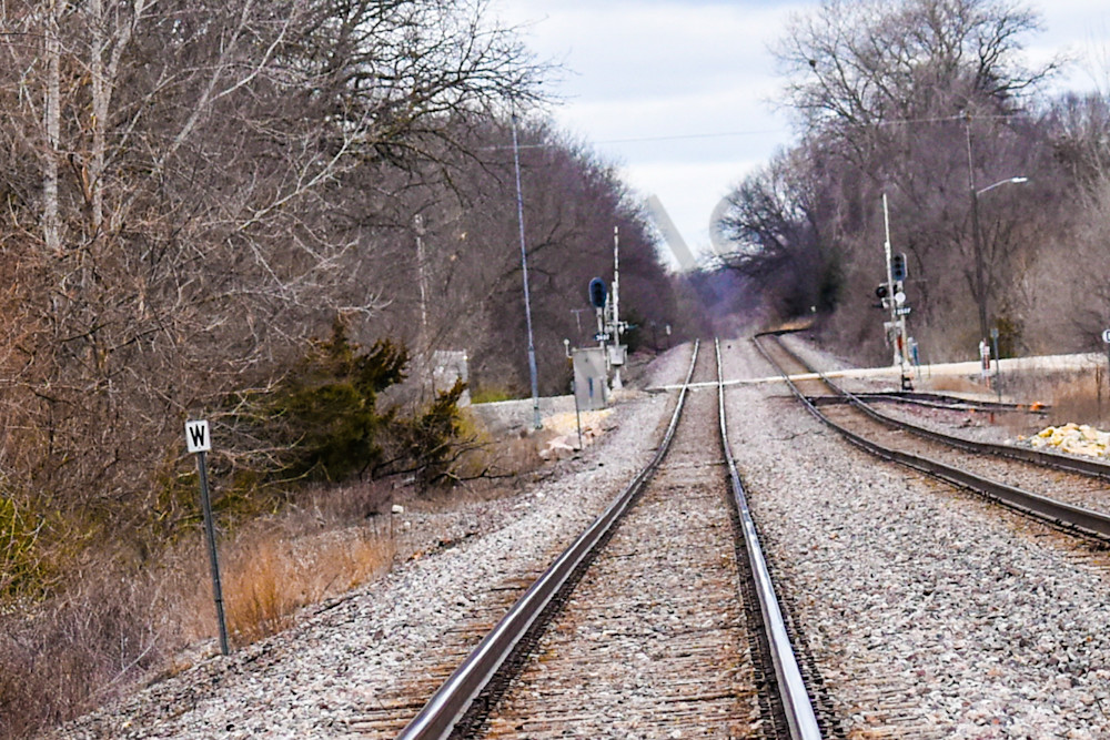 Osceola Farms 85 Photography Art | Photos By Regan