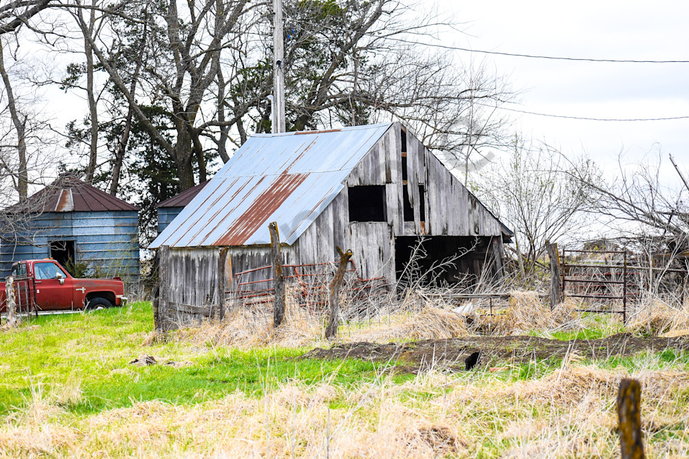 Osceola Farms 56 Photography Art | Photos By Regan