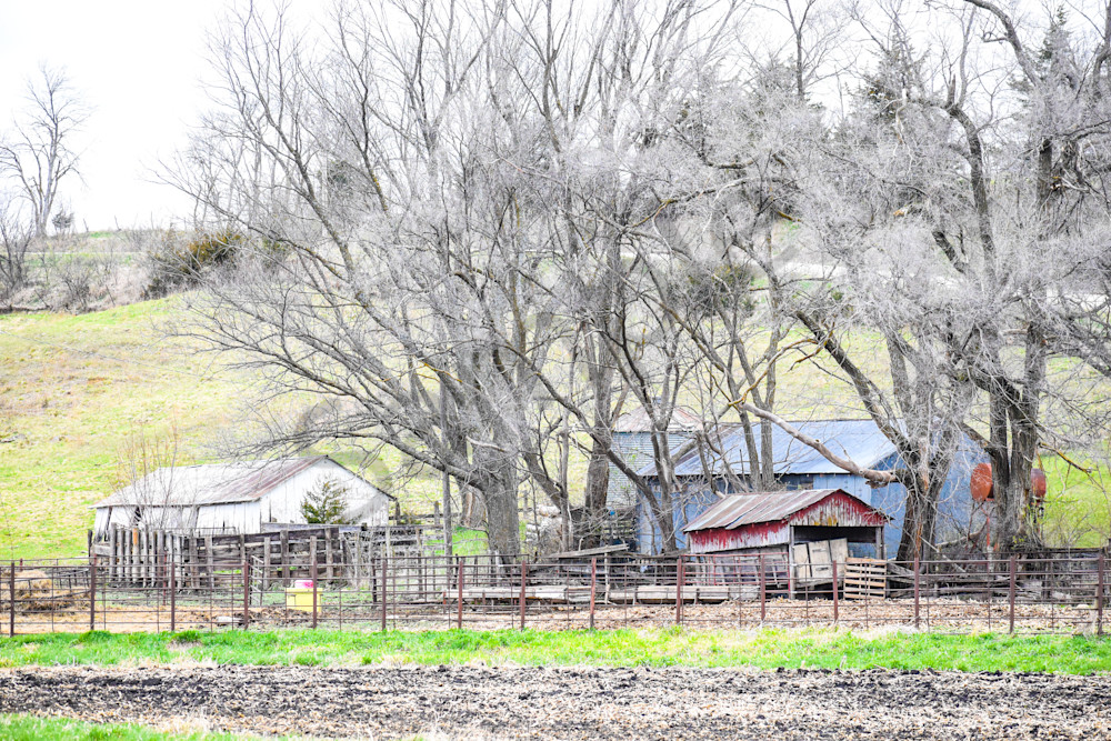 Osceola Farms 23 Photography Art | Photos By Regan