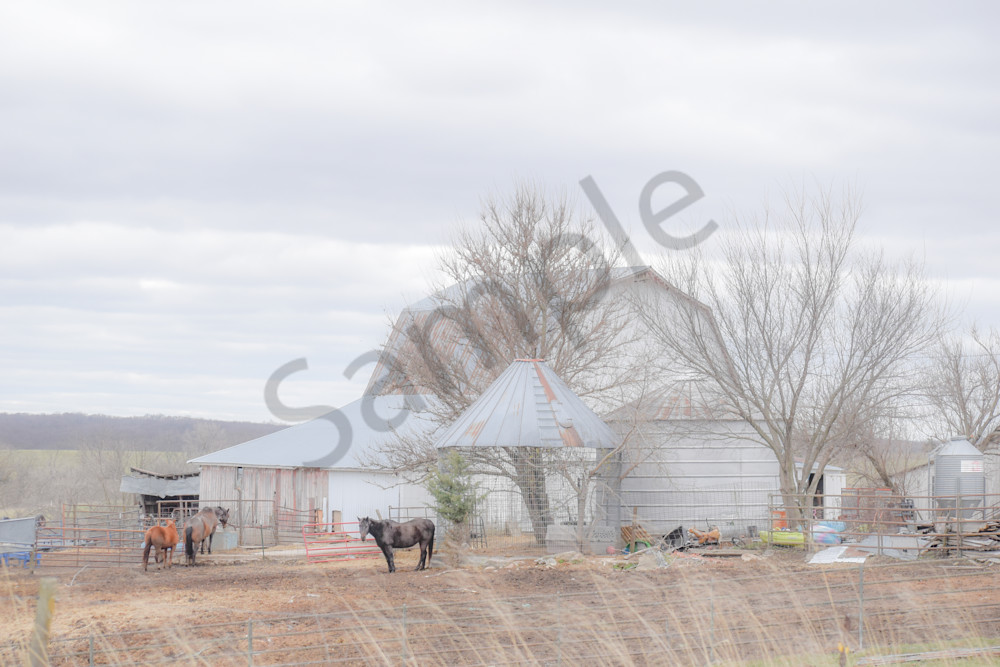 Osceola Farms 101 Photography Art | Photos By Regan