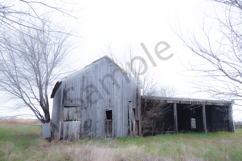 Osceola Farms 212 Photography Art | Photos By Regan