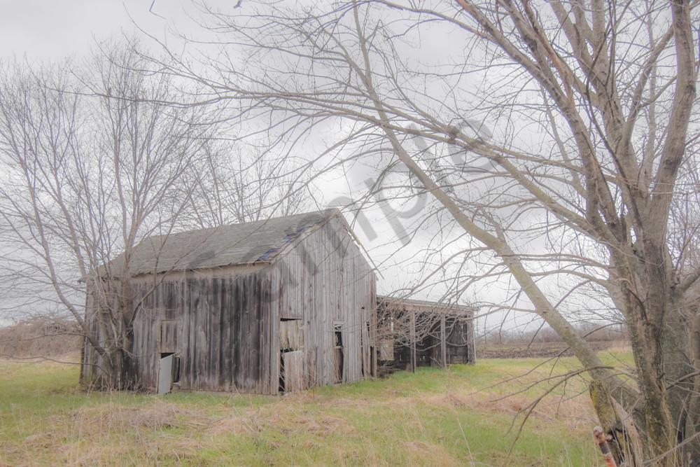 Osceola Farms 217 Photography Art | Photos By Regan