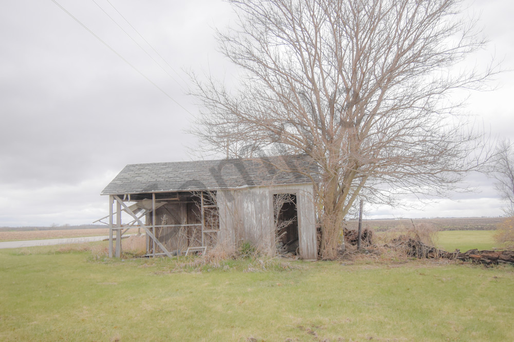 Osceola Farms 219 Photography Art | Photos By Regan