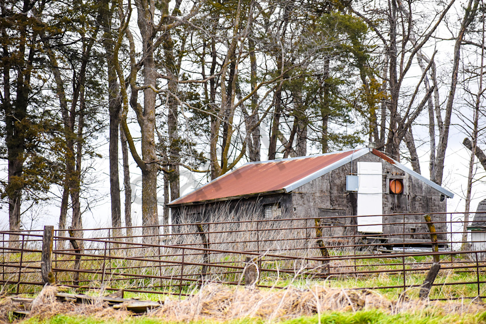 Osceola Farms 104 Photography Art | Photos By Regan