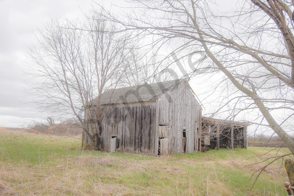 Osceola Farms 216 Photography Art | Photos By Regan