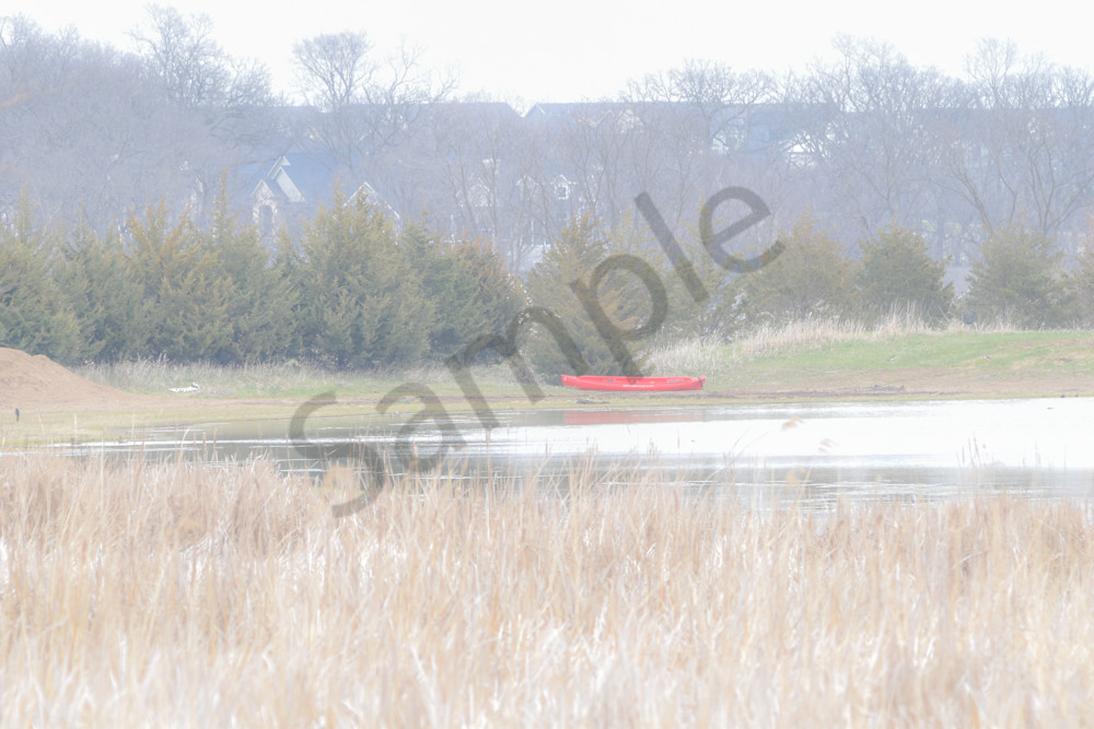 Bird Hunt 5 Photography Art | Photos By Regan