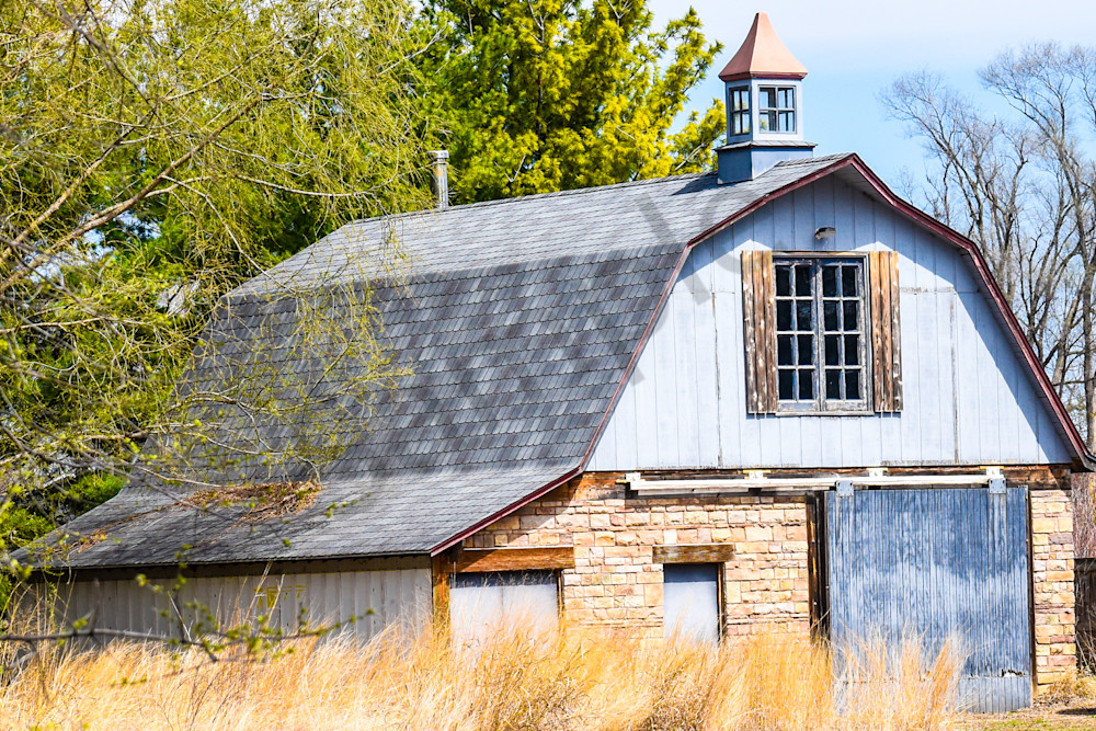 Bird Hunt 126 Photography Art | Photos By Regan