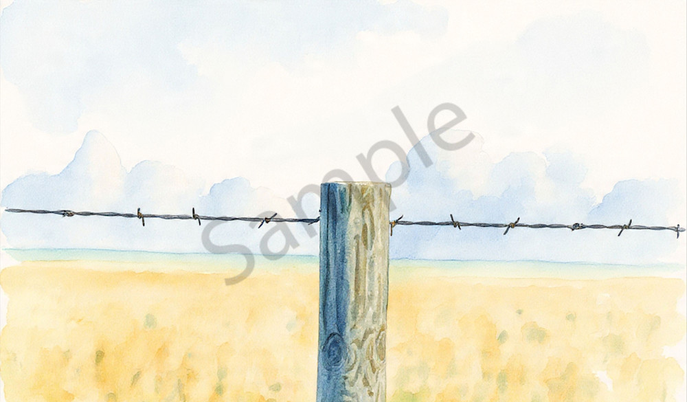 Barbedwire Photography Art | Photos By Regan