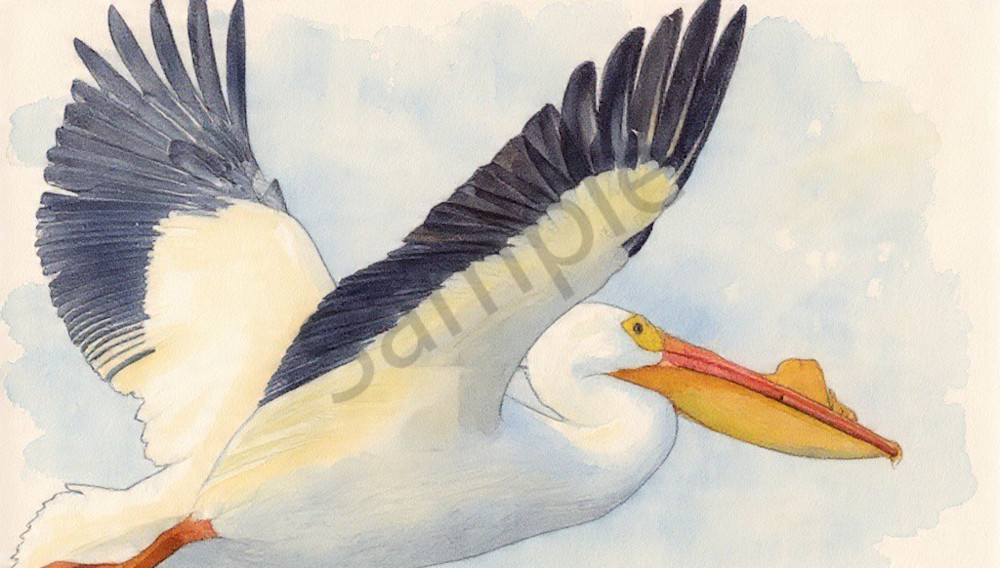 Img 3767 Photography Art | Photos By Regan