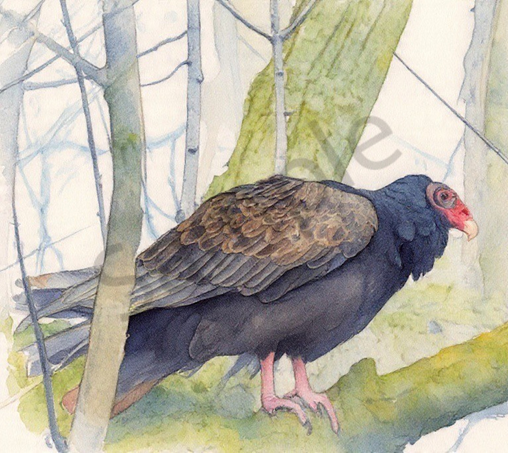 Img 3771 Photography Art | Photos By Regan