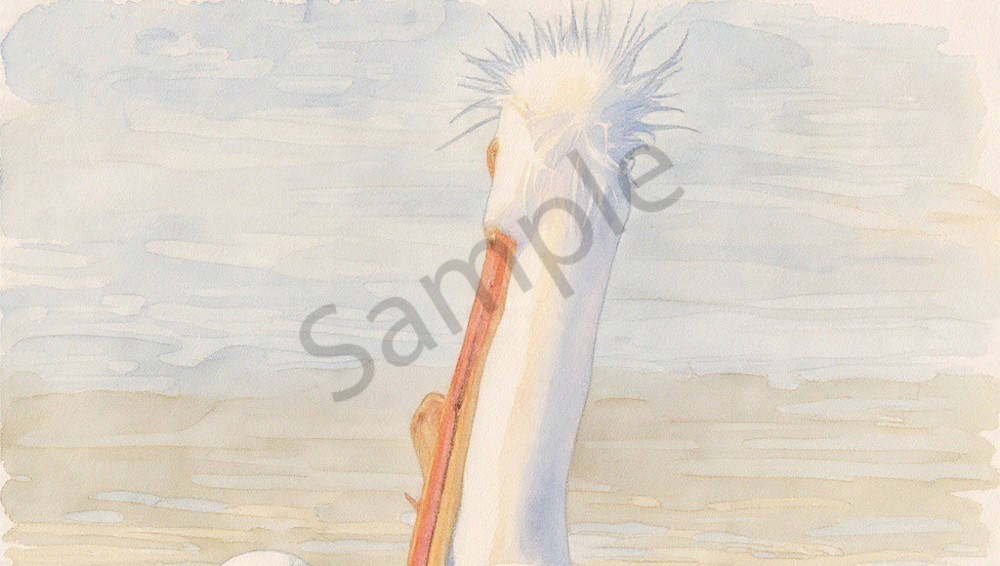 Img 3776 Photography Art | Photos By Regan