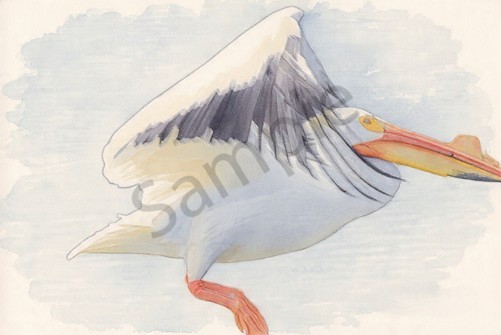 Img 3778 Photography Art | Photos By Regan