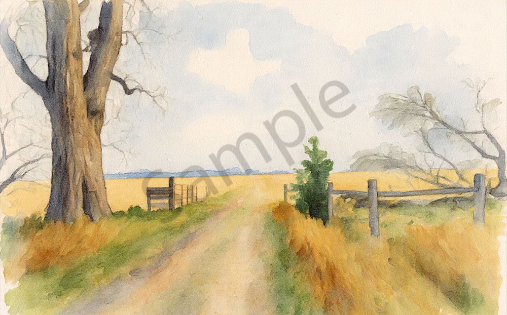 Dirtroad Photography Art | Photos By Regan