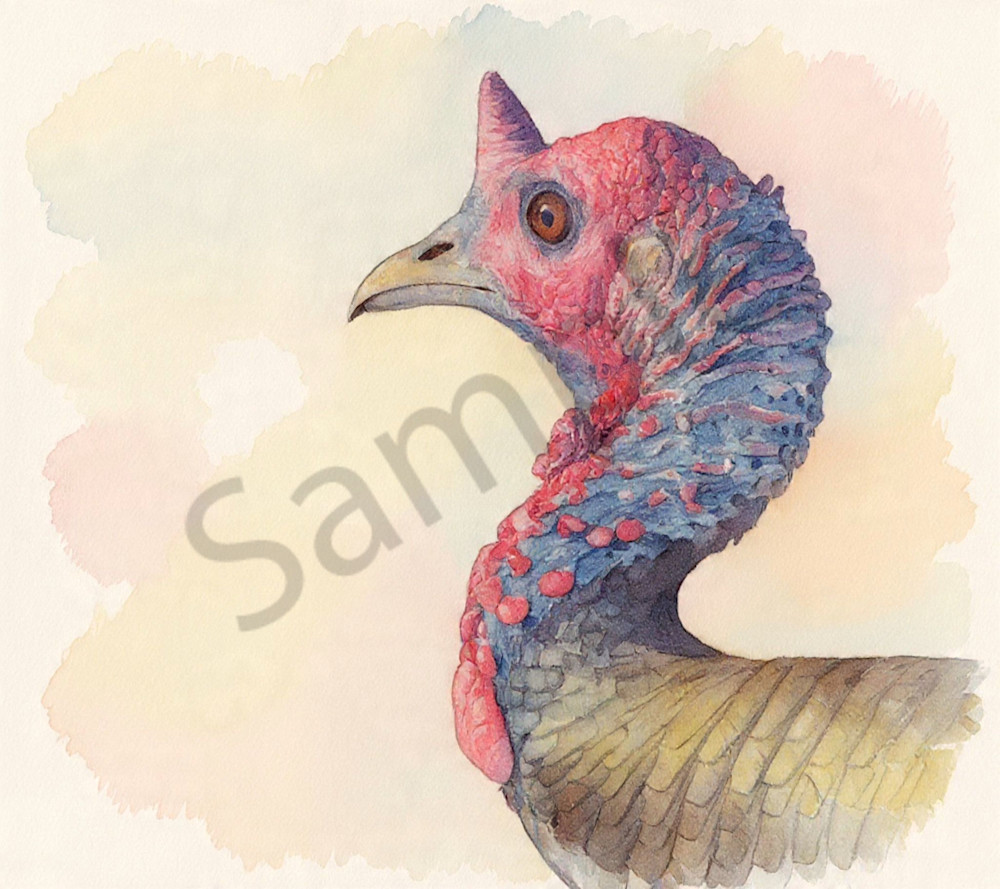 Turkey Photography Art | Photos By Regan