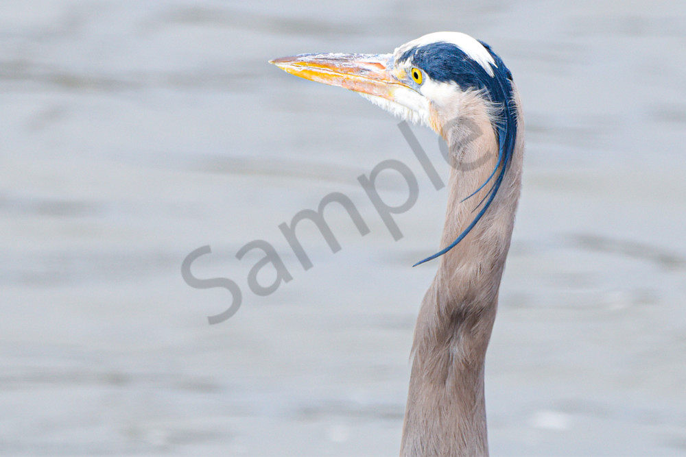 Waukee Backroads 130 Photography Art | Photos By Regan